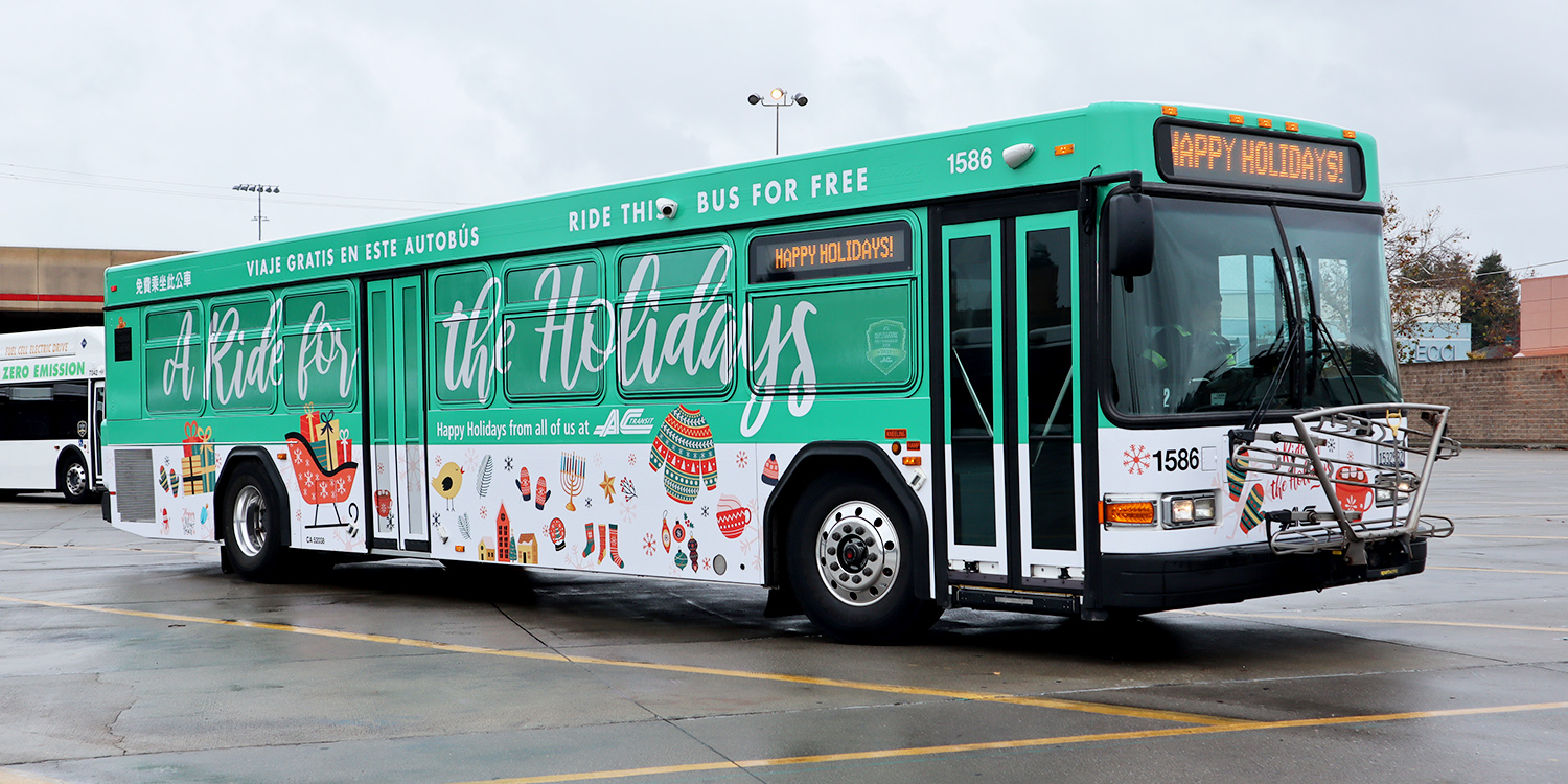 Holiday bus