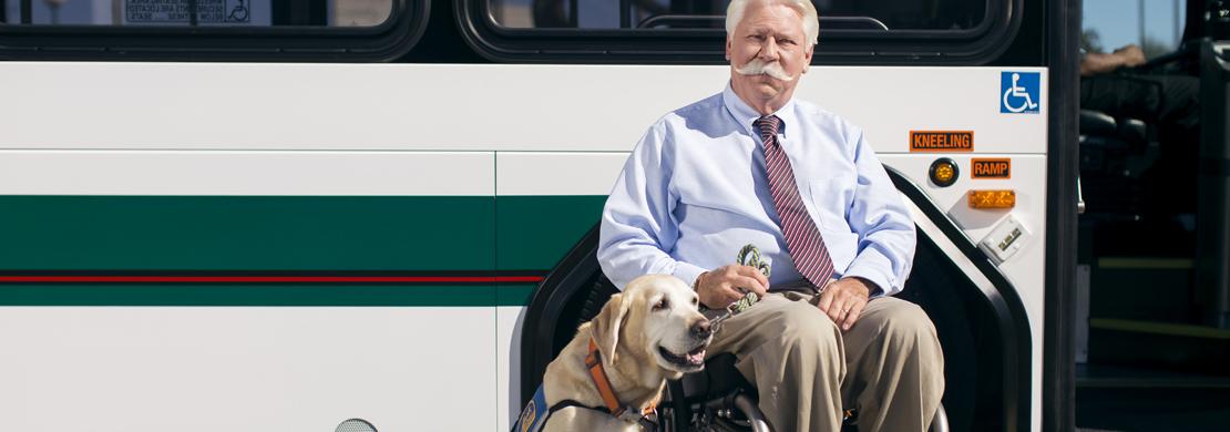 are dogs allowed on city buses